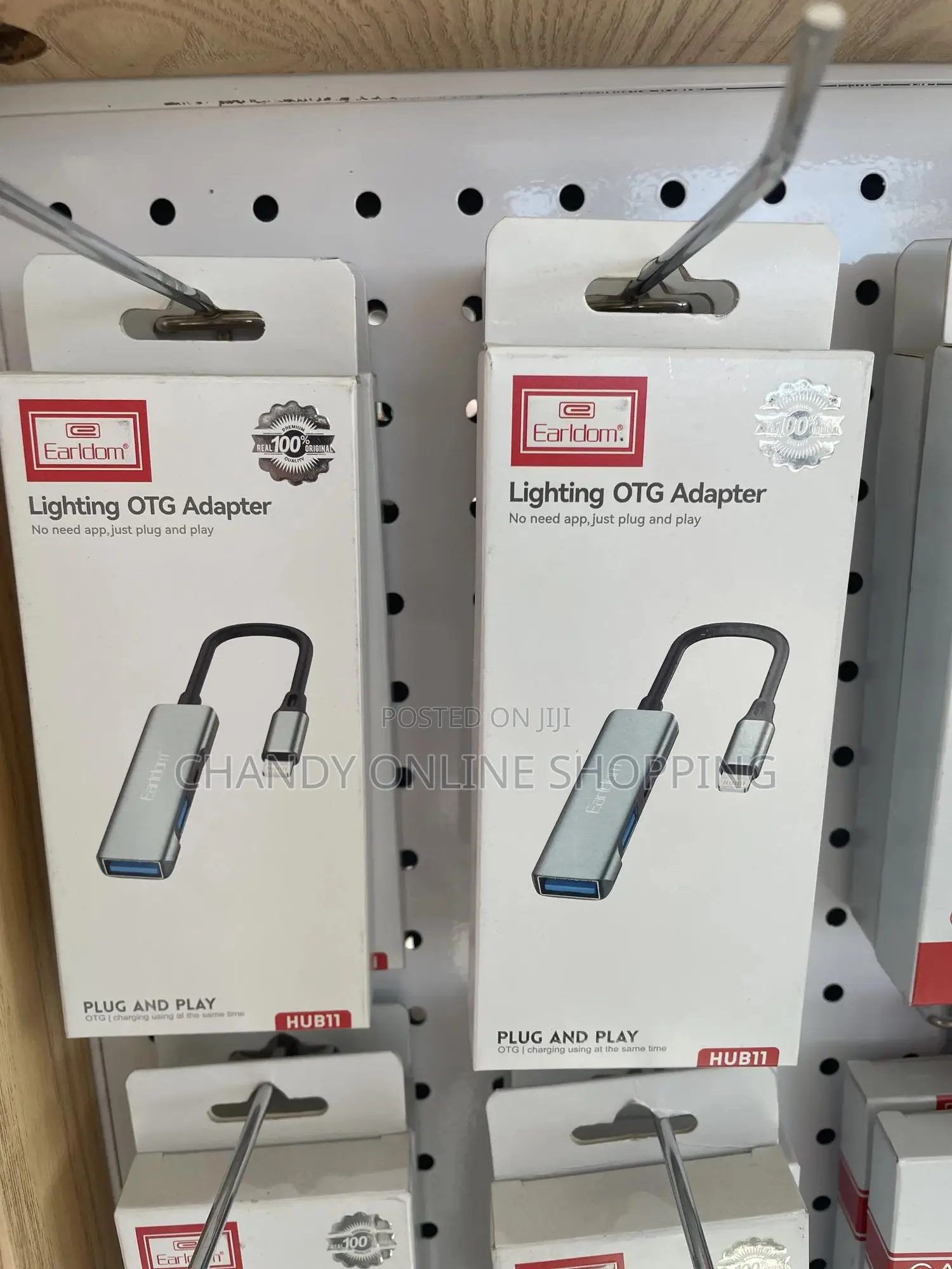 A Lightning OTG (On-the-Go) Adapter