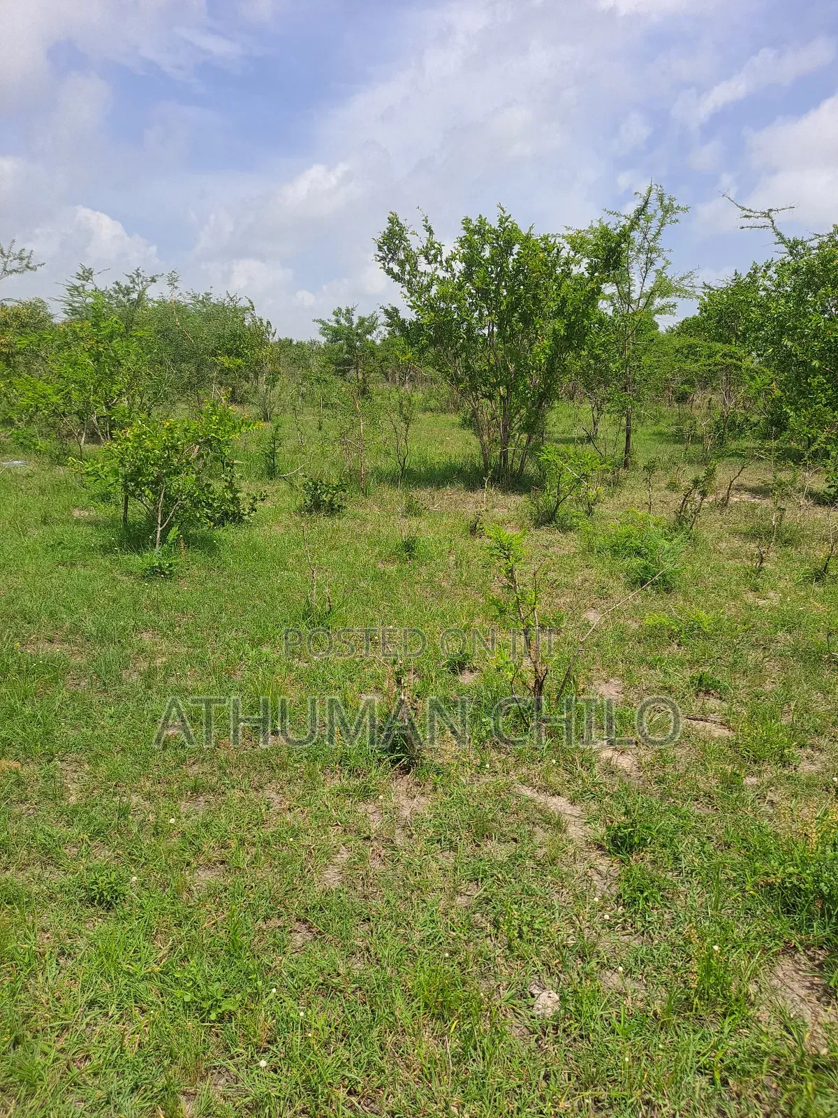 Eneo Linauzwa Kiwangwa Bagamoyo Pwani