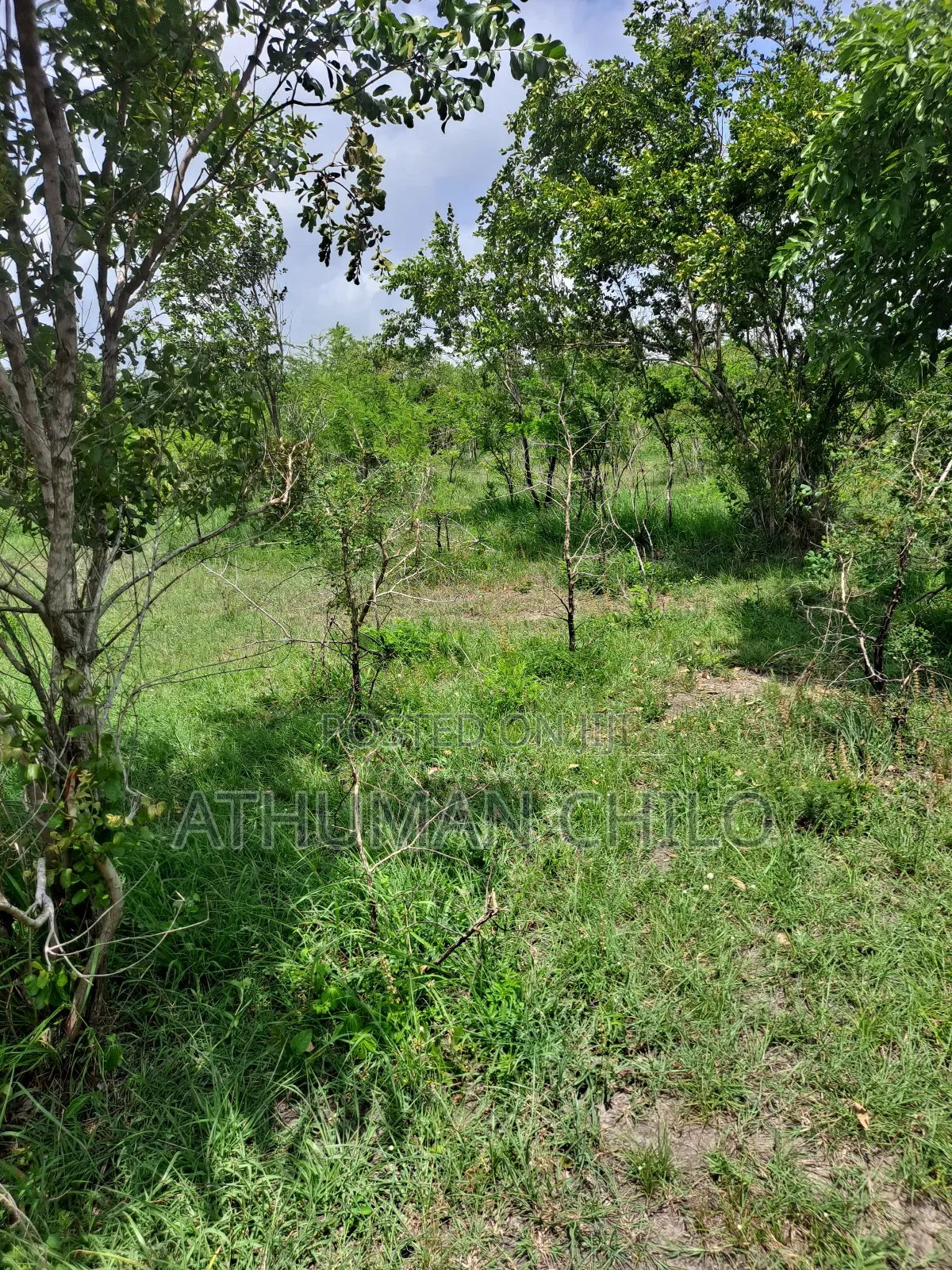 Eneo Linauzwa Kiwangwa Bagamoyo Pwani