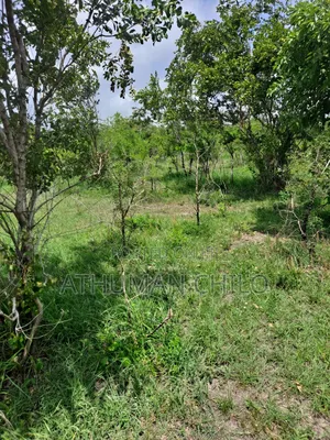 Eneo Linauzwa Kiwangwa Bagamoyo Pwani