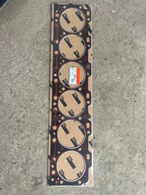 Goldendragon, Yutong Bus Part Cylinder Head Gasket C-Series