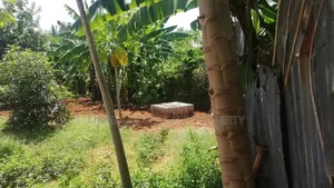 4bdrm House in Ada Estate for rent