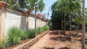 4bdrm House in Ada Estate for rent