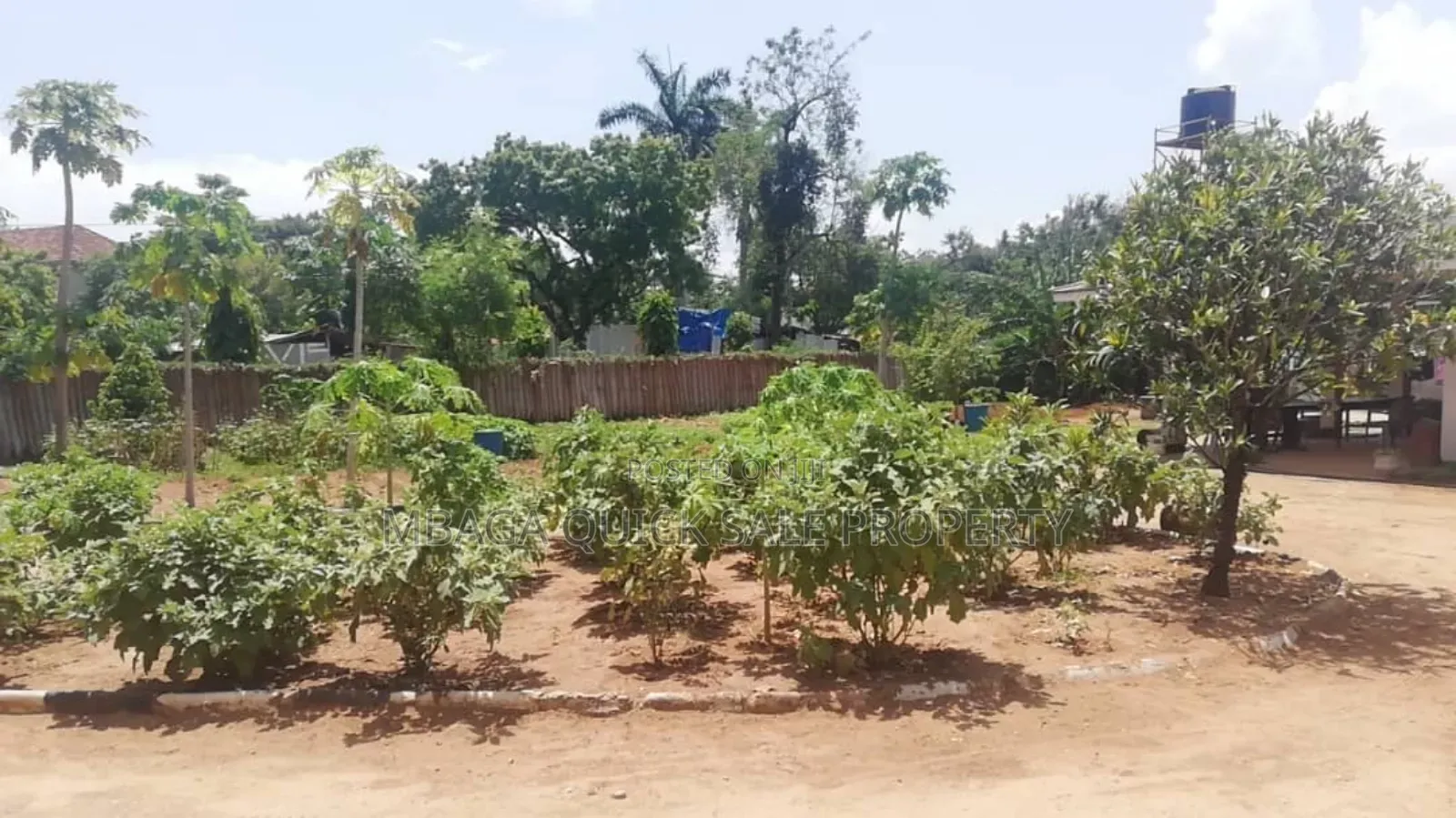 4bdrm House in Ada Estate for rent
