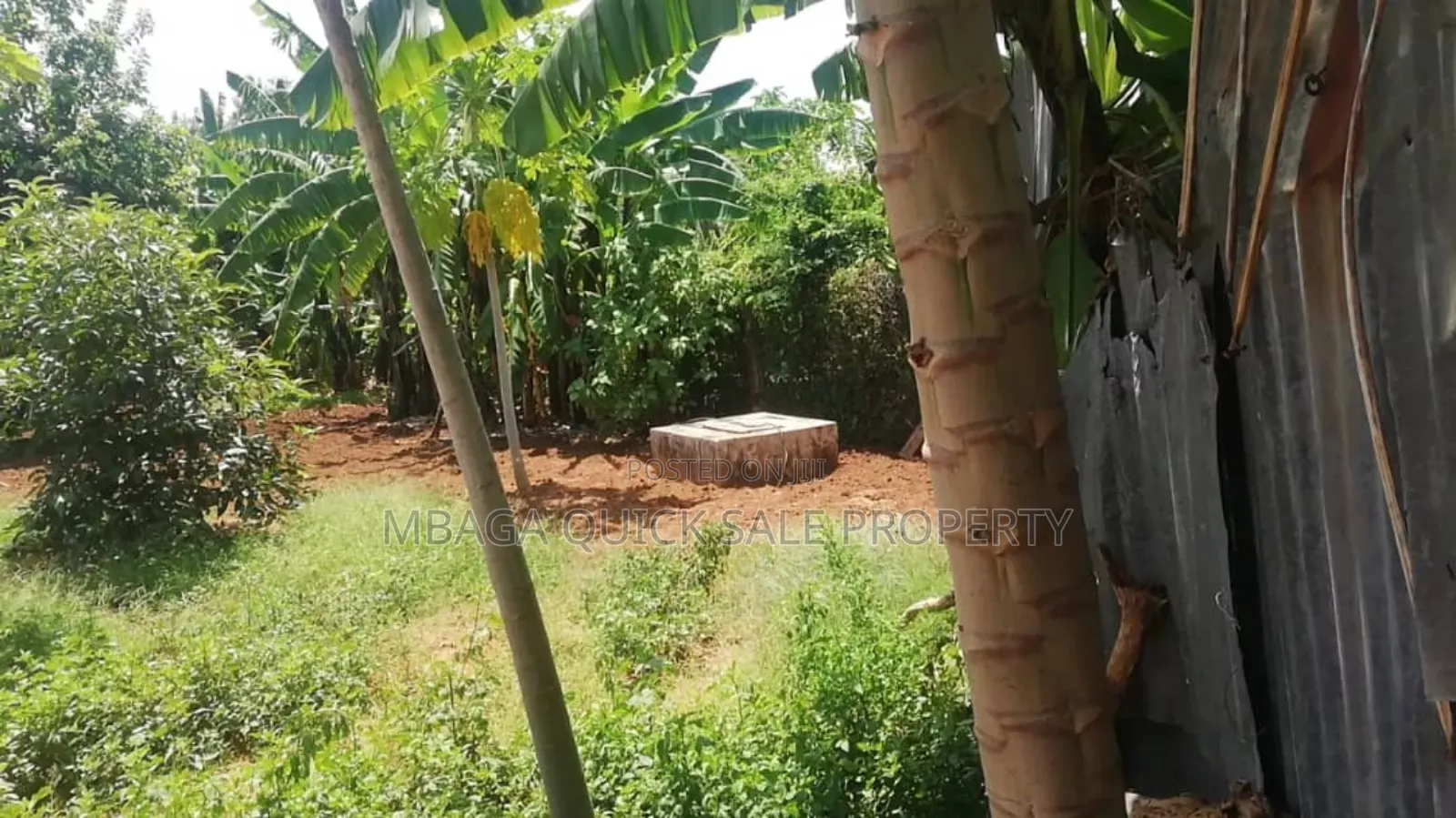 4bdrm House in Ada Estate for rent