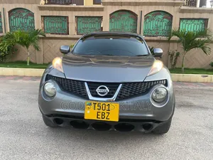 Nissan Juke 2011 Gray