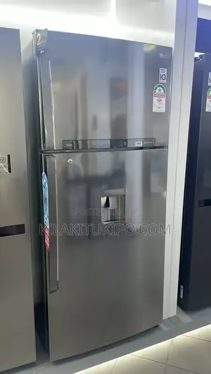 LG Inverter Refrigerator 509L