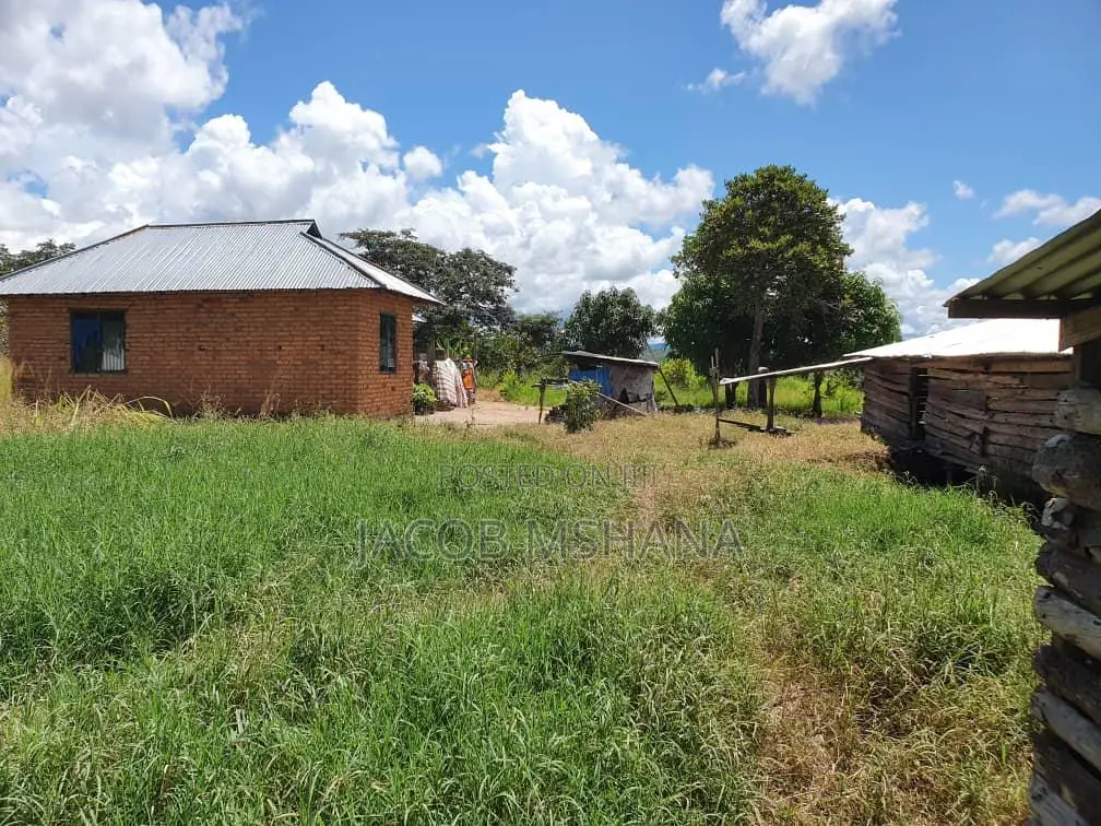 Shamba Linauzwa