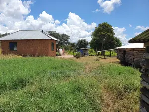 Shamba Linauzwa