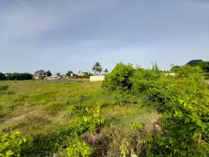 Kiwanja Kinauzwa Kigamboni Kisota