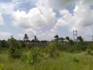 Plot for Sale at Kibaha Kwa Mfipa