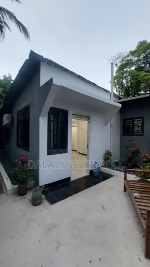 2bdrm Duplex in Mikocheni B Rose for rent