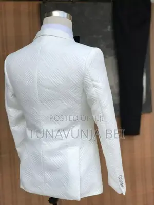 Mario Cass Suit