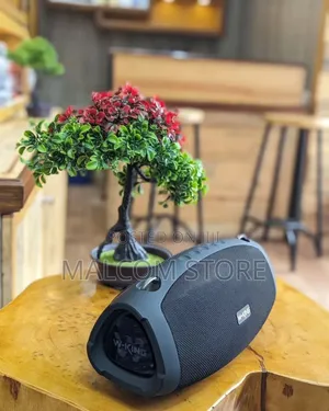 W-King X10 Speaker