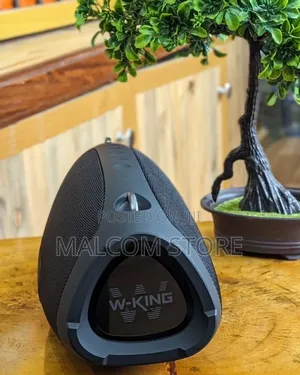 W-King X10 Speaker