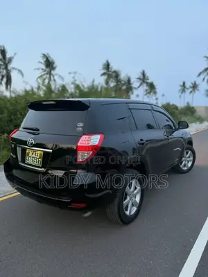 Toyota Vanguard 2009 Gray