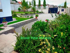 4bdrm House in Nyasaka, Ilemela for rent