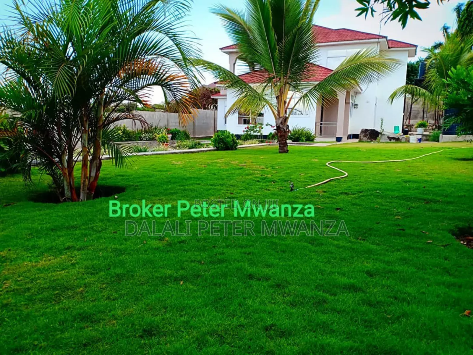 4bdrm House in Nyasaka, Ilemela for rent