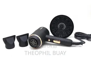 Professional Hair Dryer