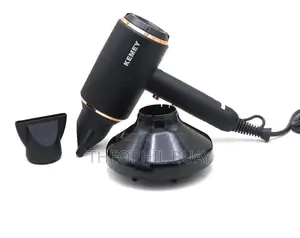 Professional Hair Dryer