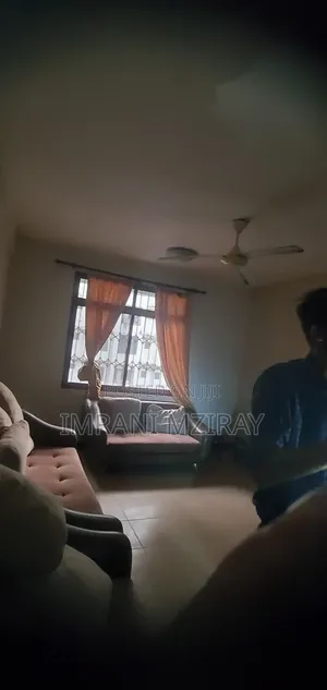 Furnished 3bdrm Apartment in Kariakoo for rent