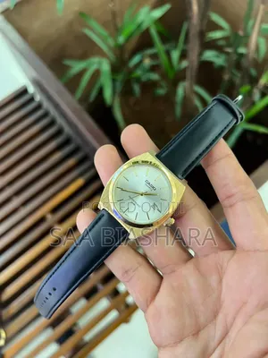 Casio Saa Nzuri Kwa Bei Kiduchu 2002 BGW