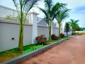 3bdrm House in Near Bugando, Nyamagana for rent