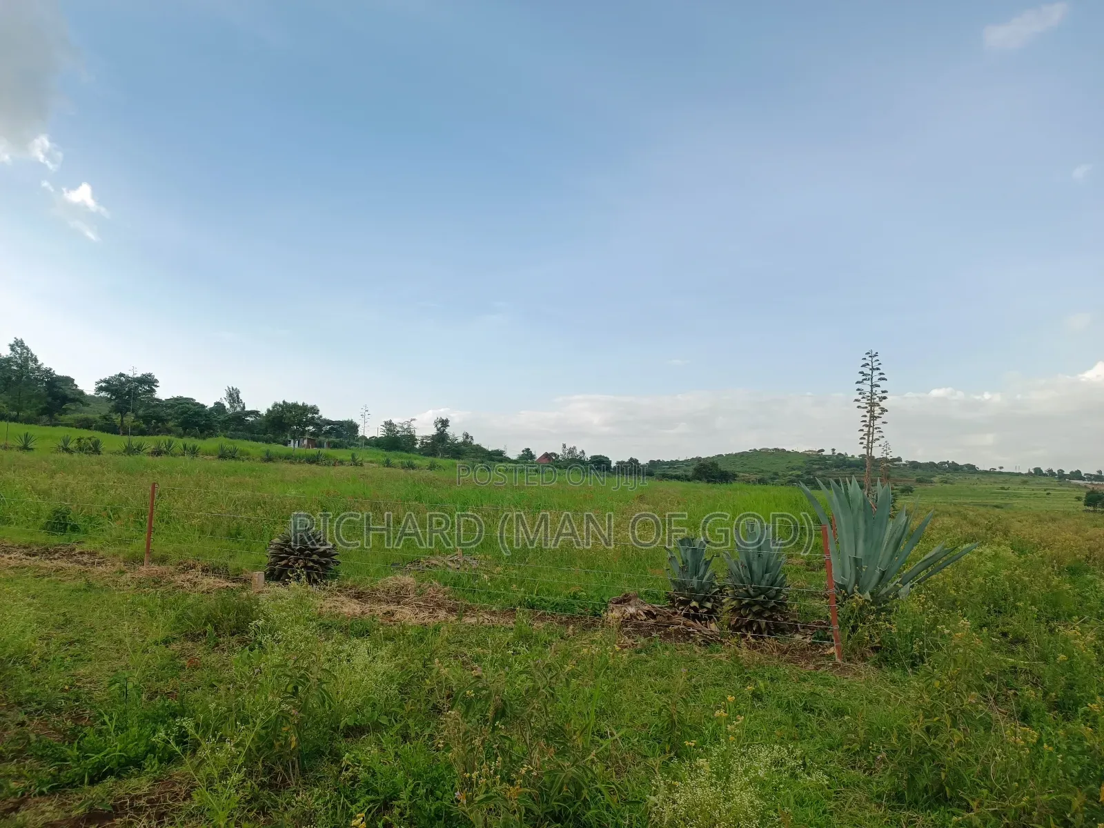 4.7 Acres Land in Mateves Area
