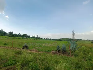 4.7 Acres Land in Mateves Area