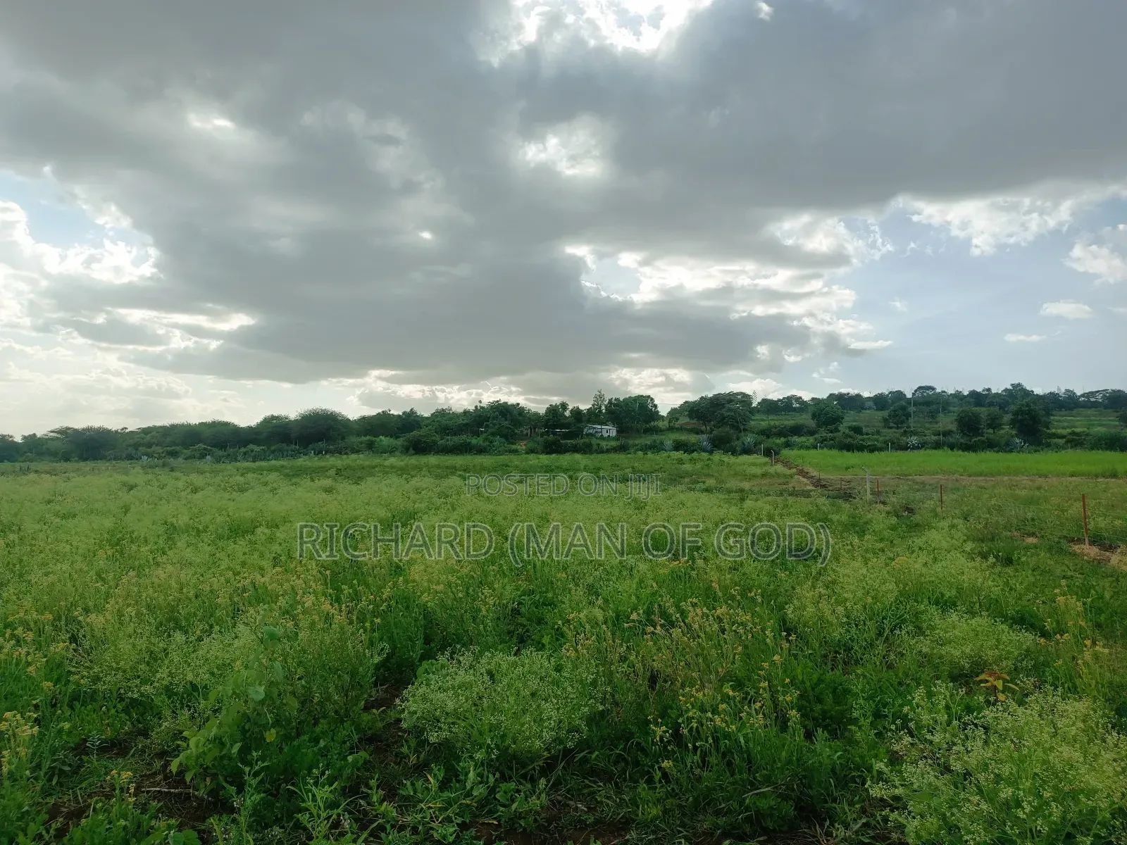 4.7 Acres Land in Mateves Area