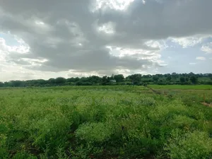 4.7 Acres Land in Mateves Area