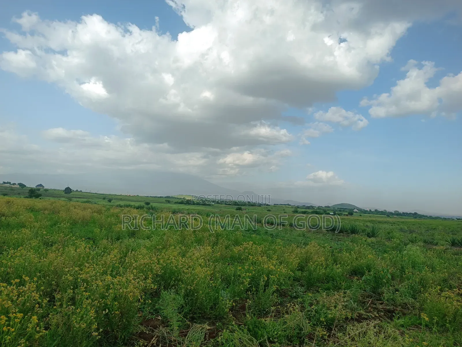 4.7 Acres Land in Mateves Area