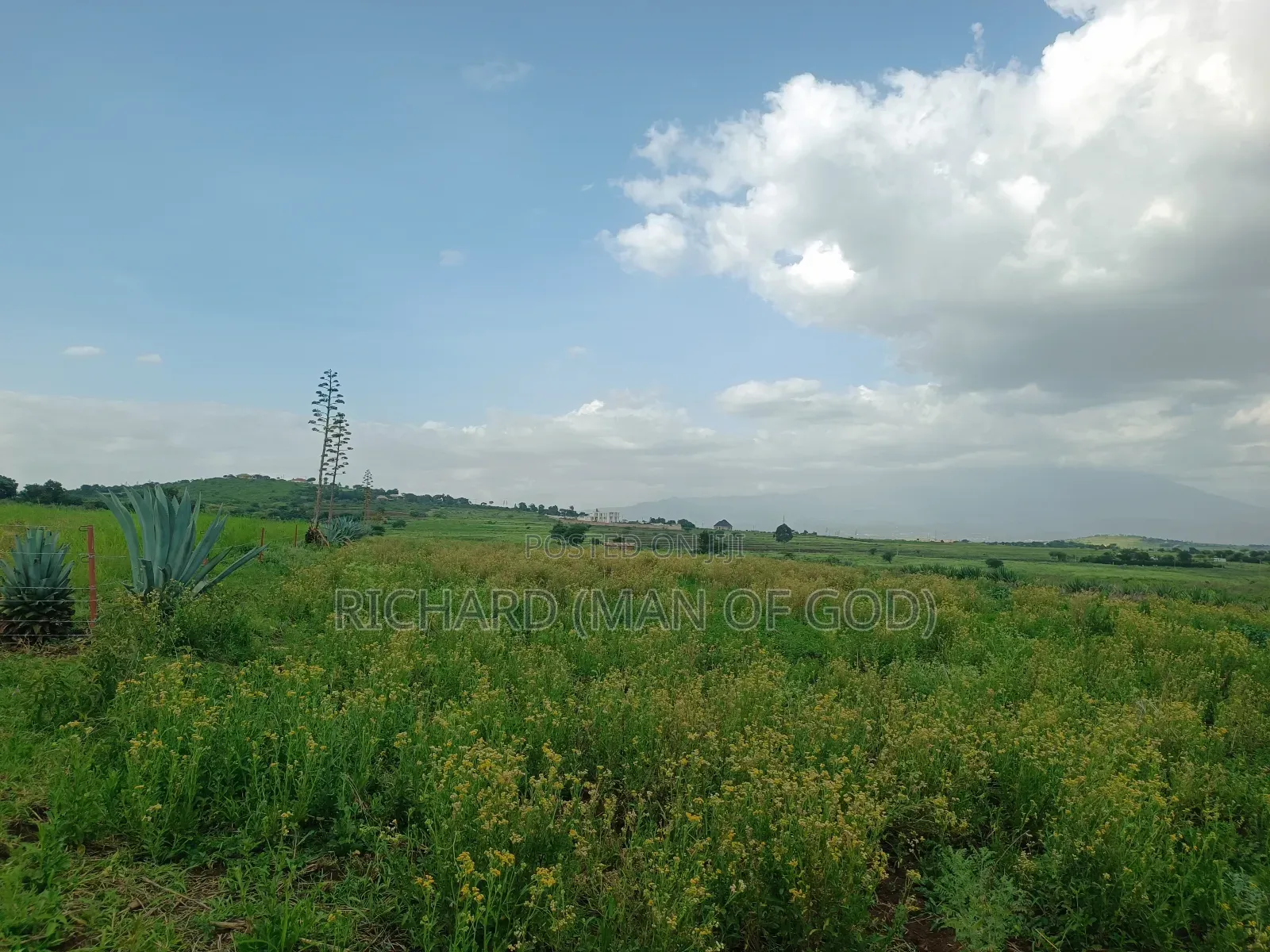 4.7 Acres Land in Mateves Area