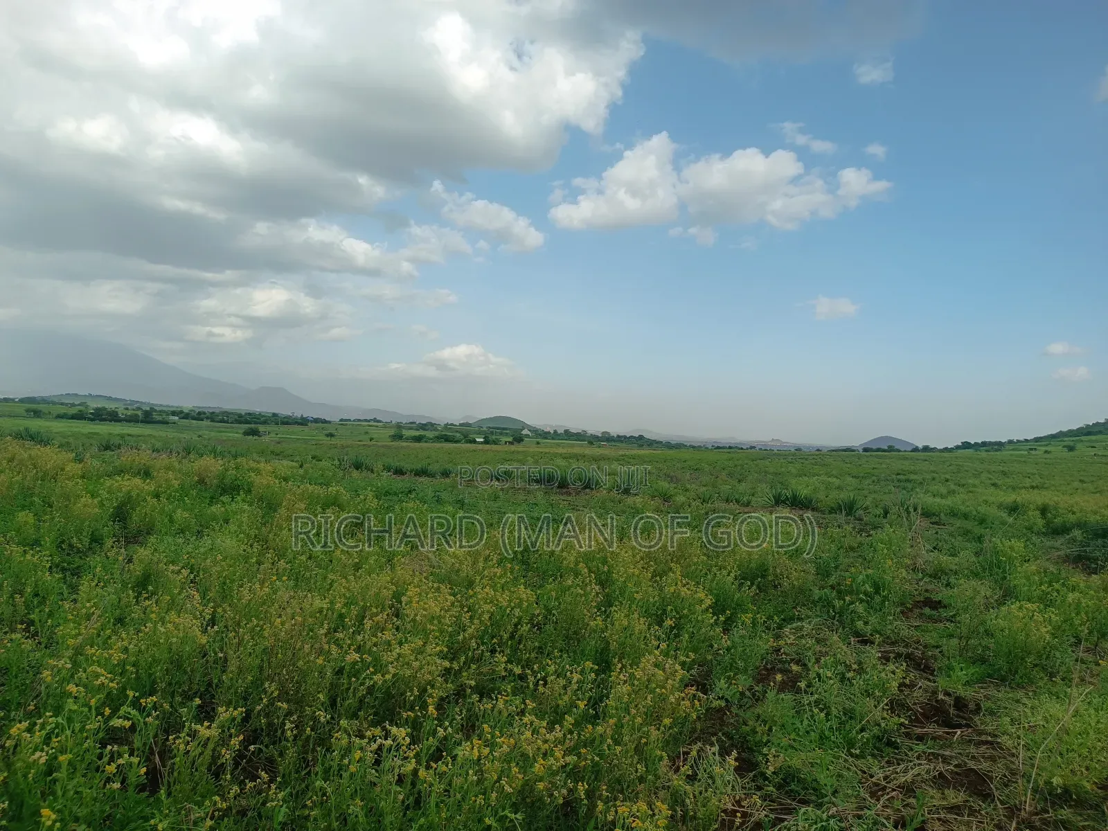 4.7 Acres Land in Mateves Area