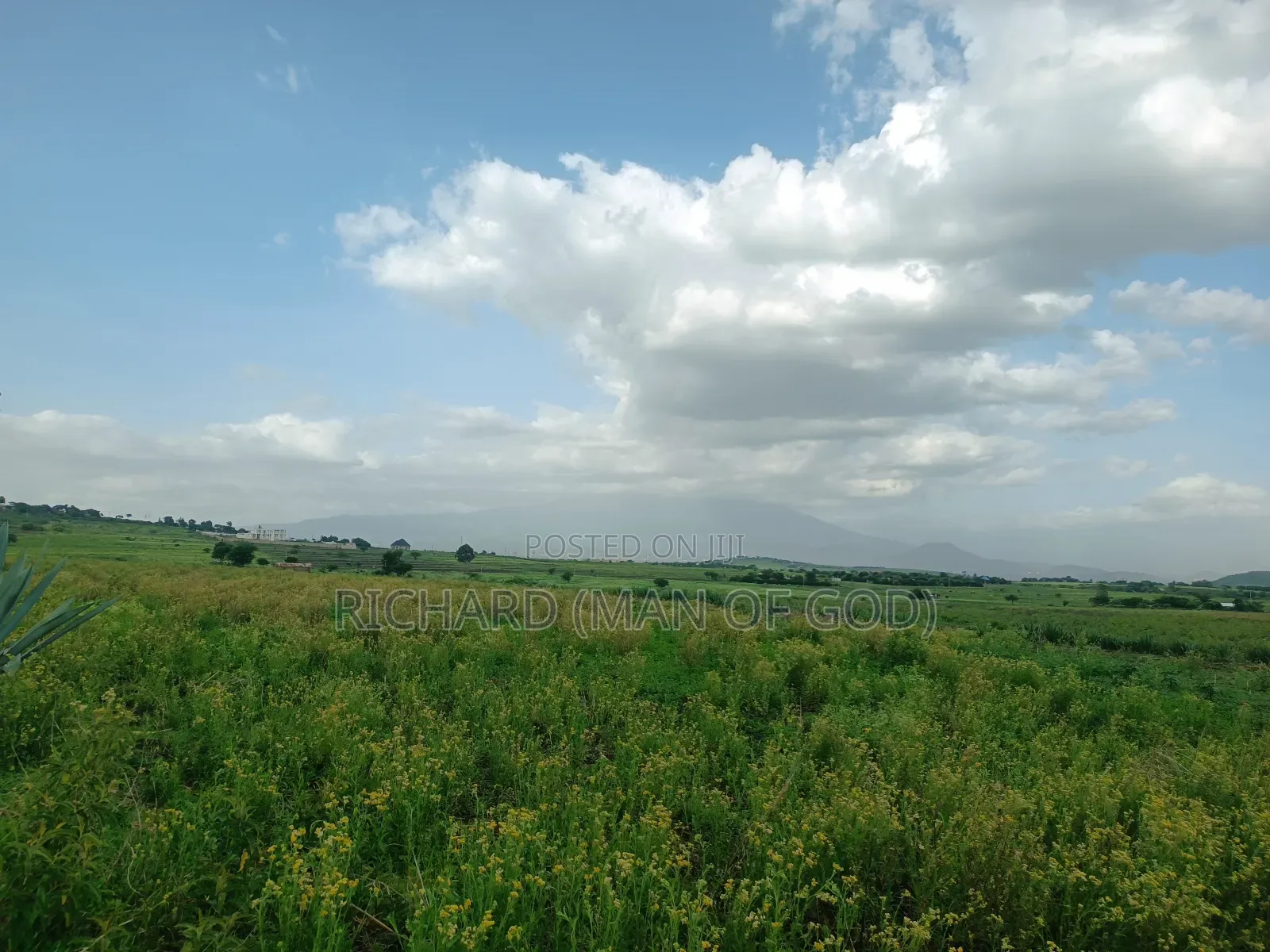 4.7 Acres Land in Mateves Area