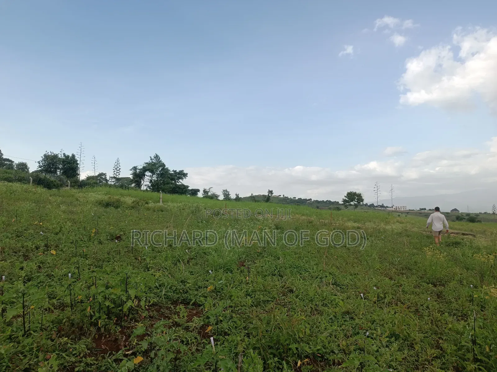 4.7 Acres Land in Mateves Area