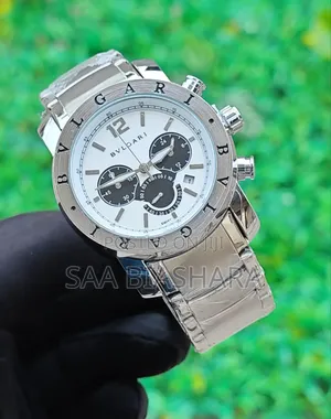 Bvlgari Automatic Watch Silver Belt and Wb Case