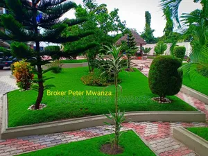 4bdrm House in Broker Peter, Nyamagana for rent