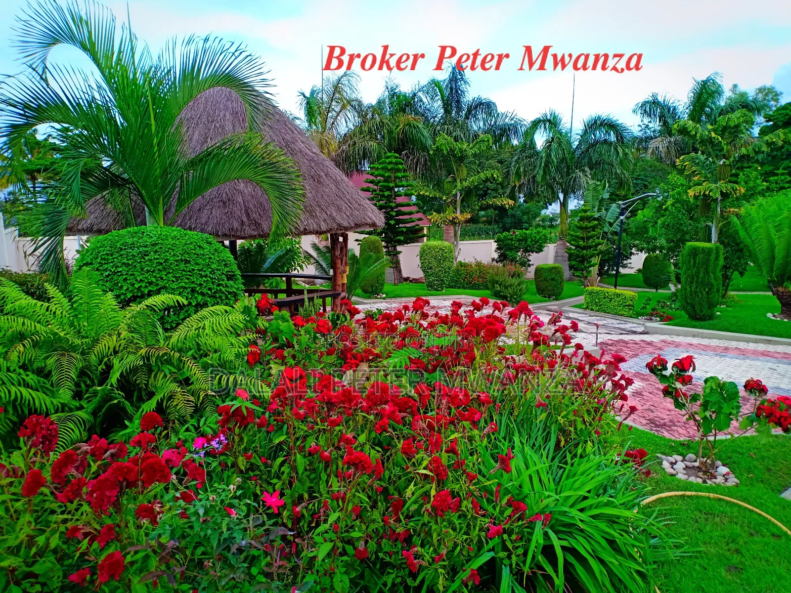 4bdrm House in Broker Peter, Nyamagana for rent