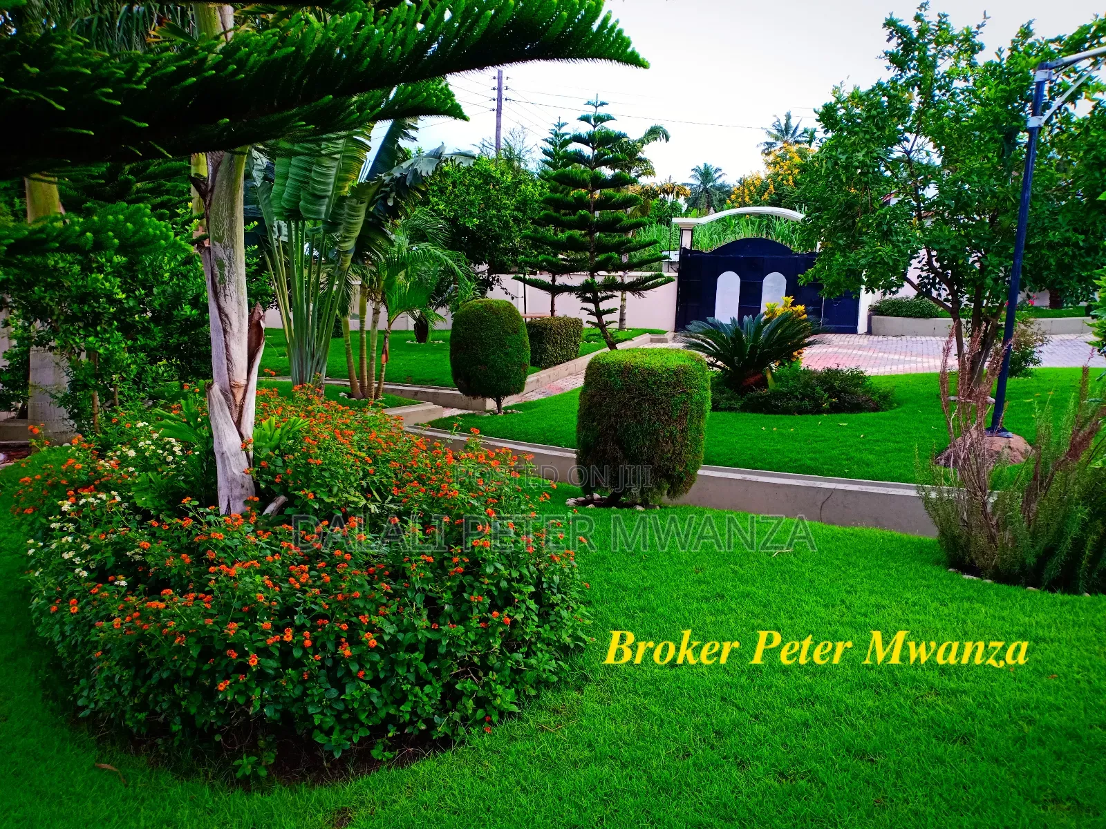 4bdrm House in Broker Peter, Nyamagana for rent