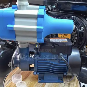 Surface Pump From Italy
