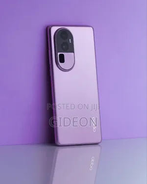 Oppo Reno10 Pro+ 256 GB Gray