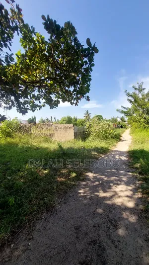 2hecta at Bagamoyo Mjini Full Document