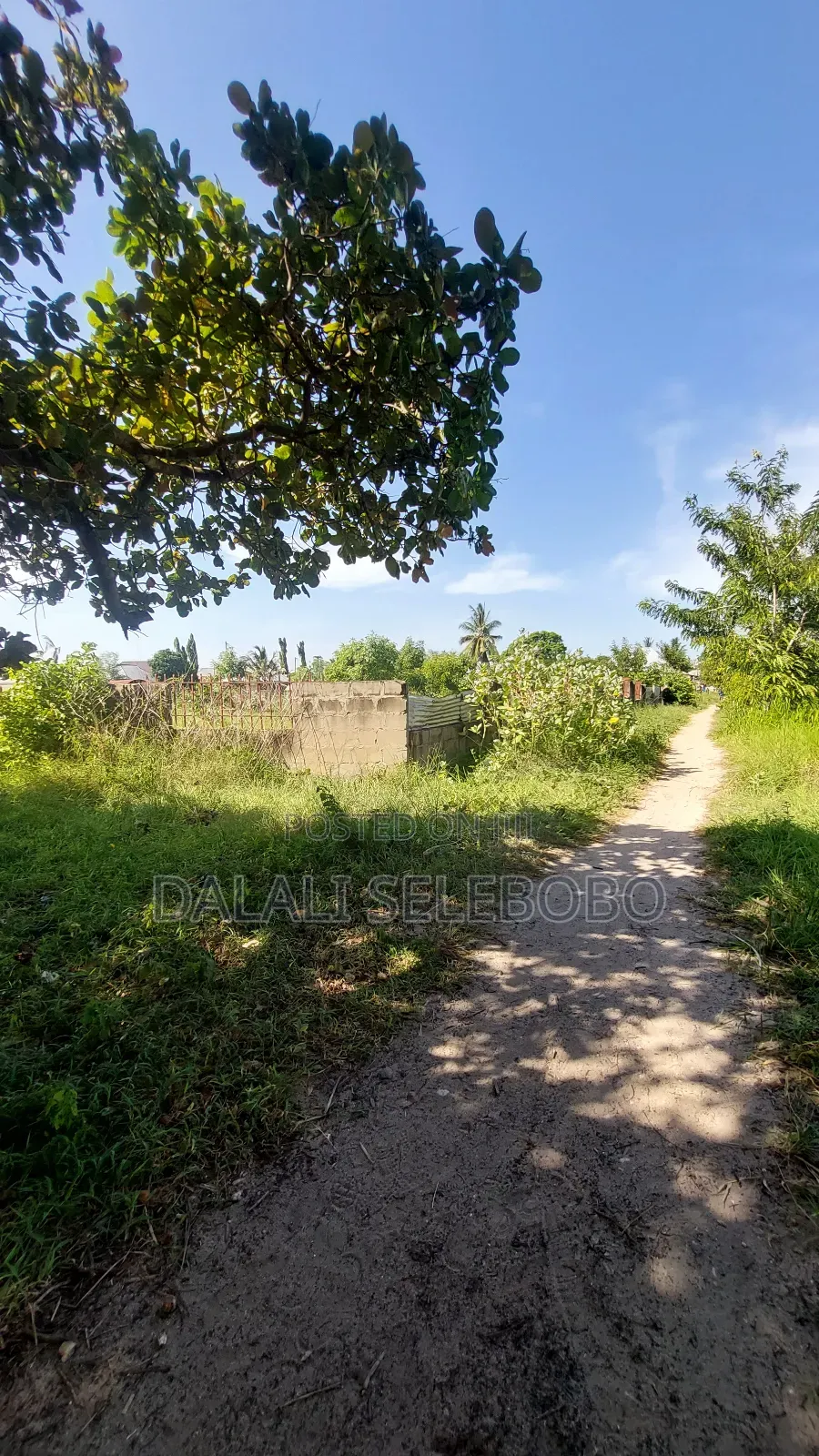 2hecta at Bagamoyo Mjini Full Document