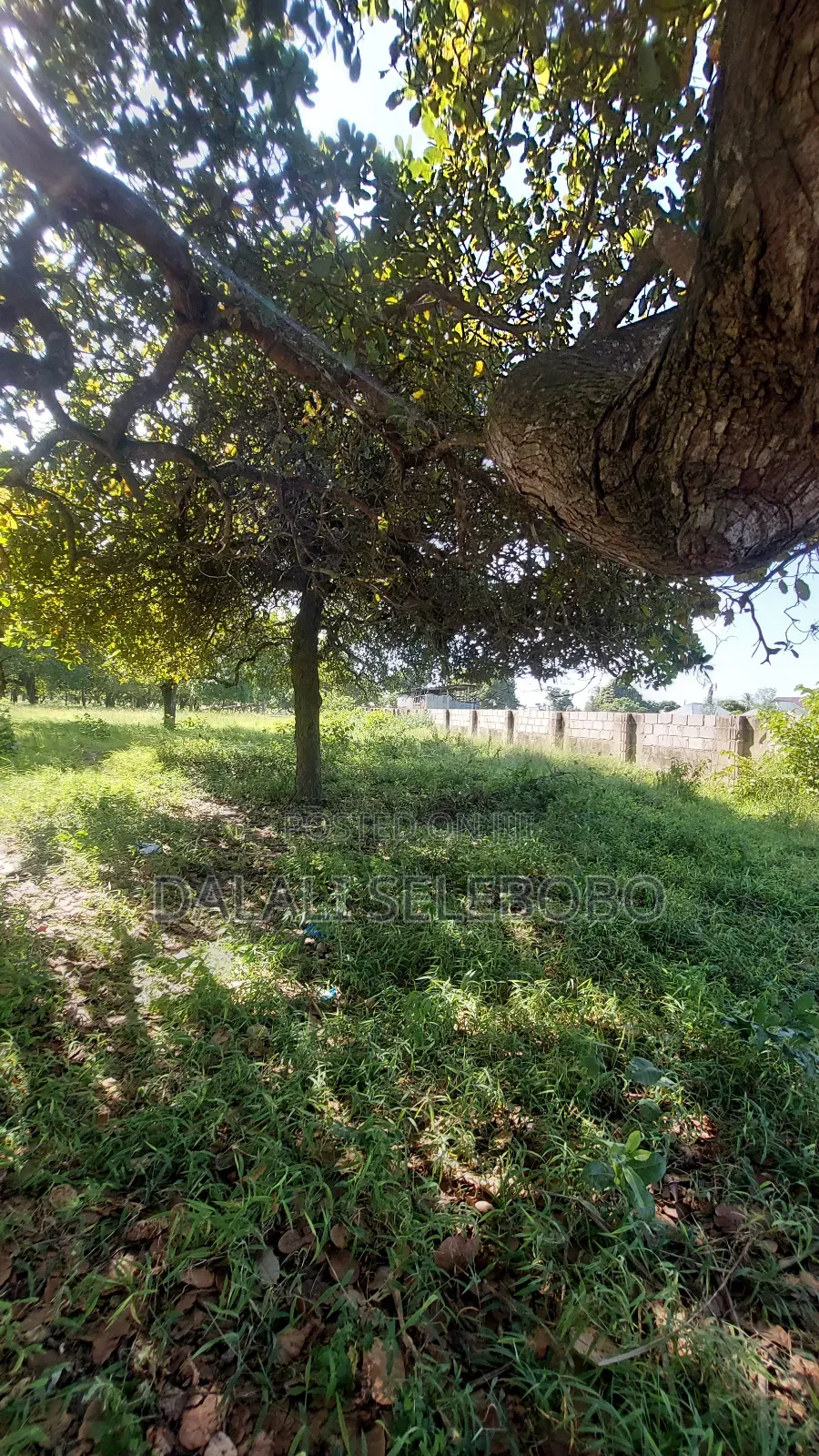 2hecta at Bagamoyo Mjini Full Document