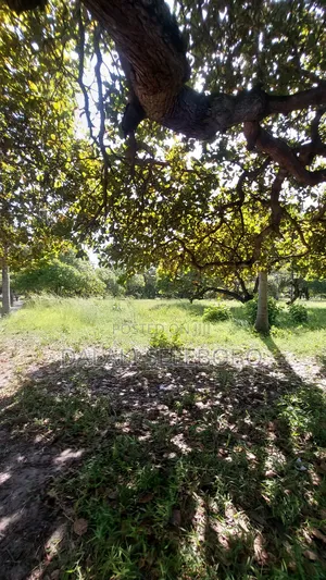 2hecta at Bagamoyo Mjini Full Document