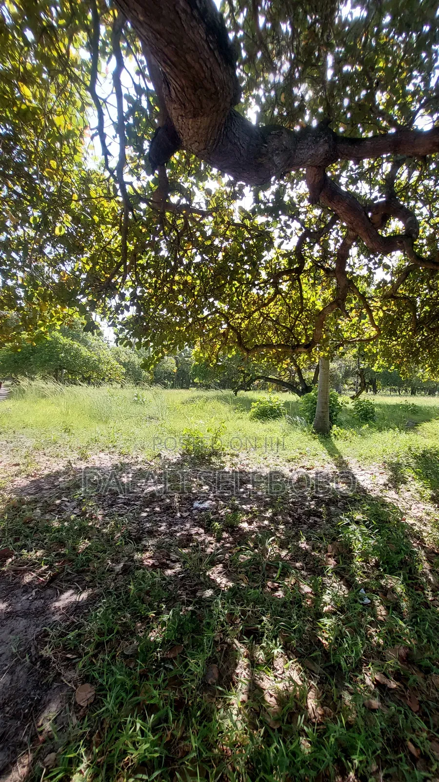 2hecta at Bagamoyo Mjini Full Document
