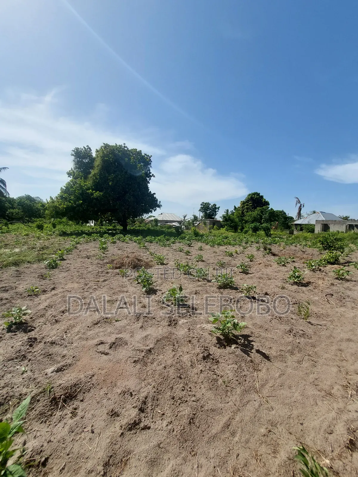 Plot Sale 1hecta at Bagamoyo Chemchem Mjini