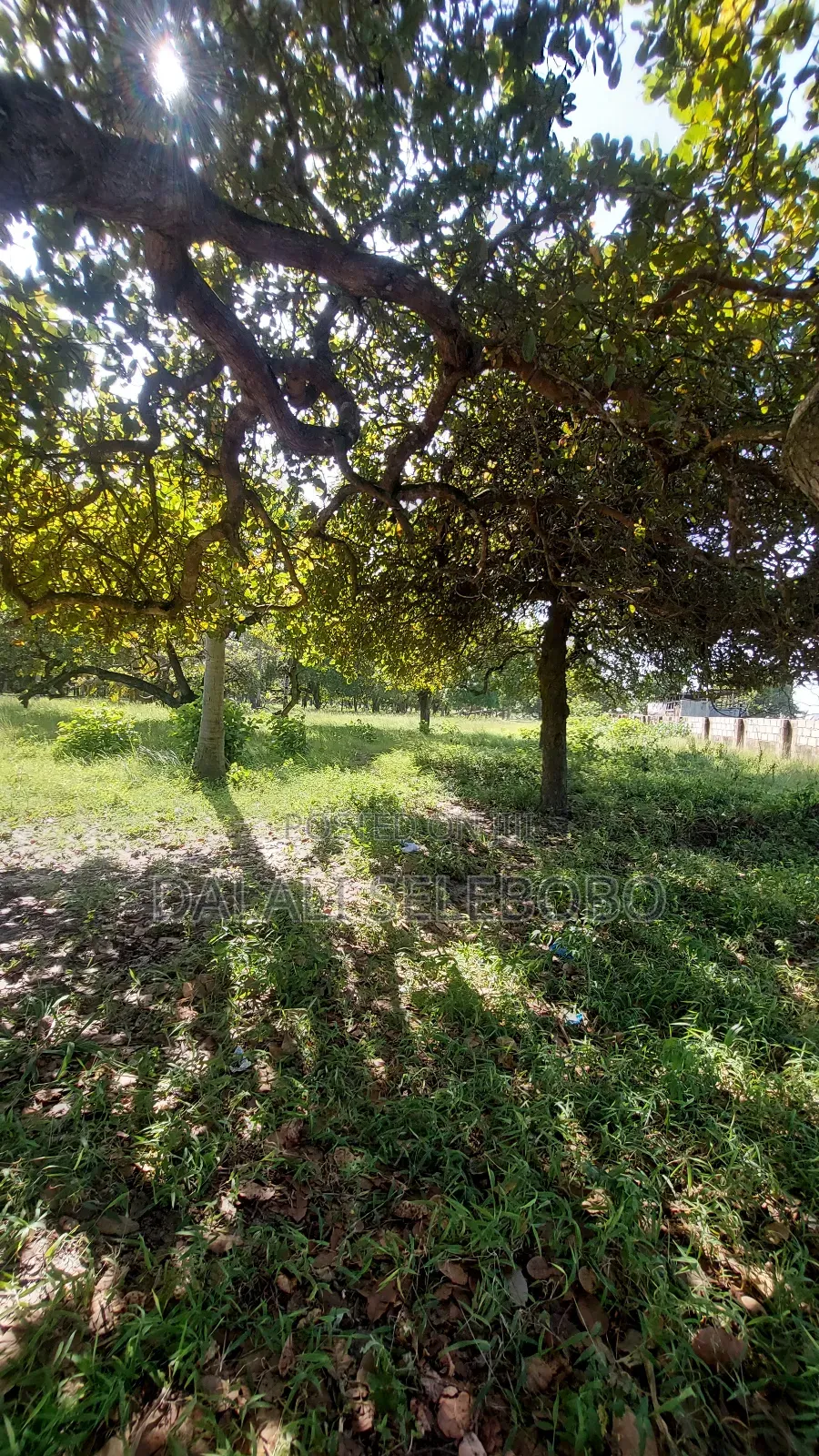 Plot Sale 1hecta at Bagamoyo Chemchem Mjini