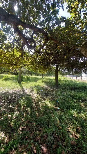 Plot Sale 1hecta at Bagamoyo Chemchem Mjini